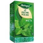Herbata HERBAPOL ZIELNIK POLSKI 20Tx2g, mięta